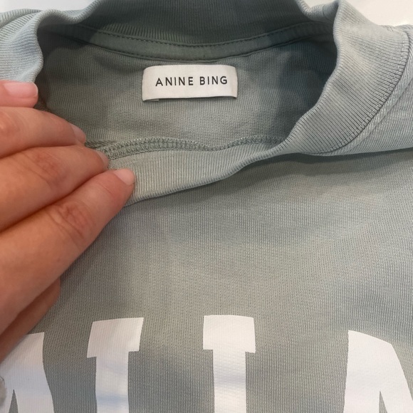 Anine Bing Mint Dallas Sweatshirt - Picture 4 of 6